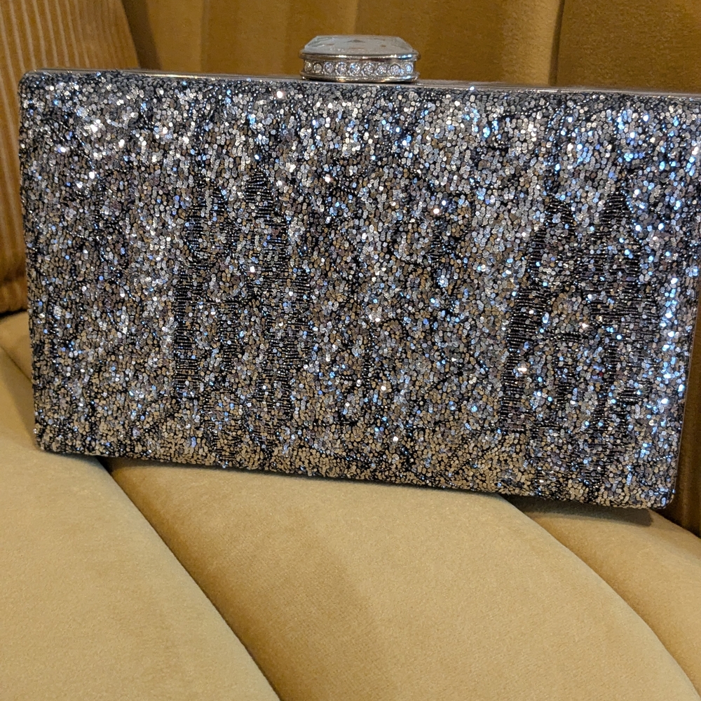 Elegant Silver Clutch Bag